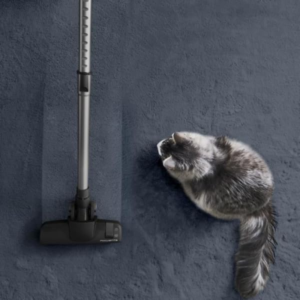 Rowenta Green Force Cyclonic Effitech Animal, bagless vacuum cleaner, 500 W, 2.5 liters XXL capacity, particularly quiet at 66 decibels, Black-Aluminum, RO7C66