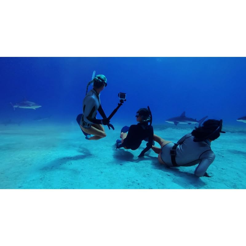 GoPro Protective Housing (ADDIV-001-VT)