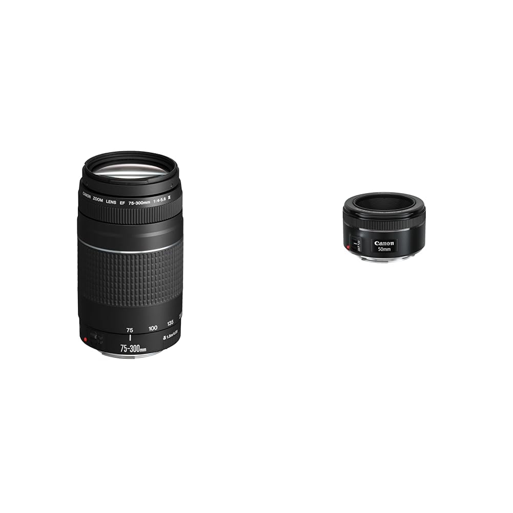 Canon EF 75-300mm F4.0-5.6 III zoom lens (58mm filter thread) black & EF 50mm F1.8 STM lens (58mm filter thread) black - 6473A003[AA]