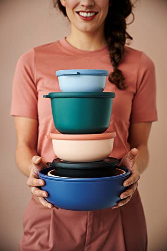 Mepal multi-bowl Cirqula Round 4-piece set - microwave dishes - suitable as a storage box, refrigerator, freezer and microwave dishes - 350, 750, 1250, 2250 ml - Nordic black - 106232041100