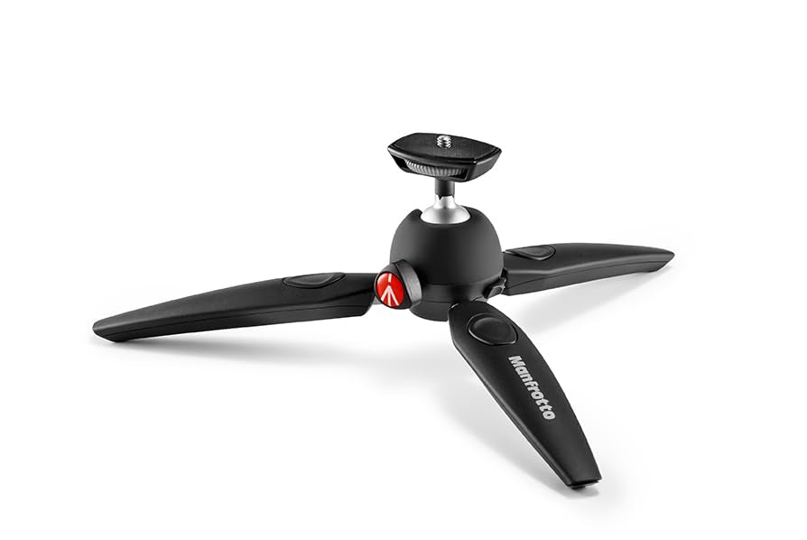 Manfrotto MTPIXIEVO-BK Pixi Evo mini tripod (2 segments) black