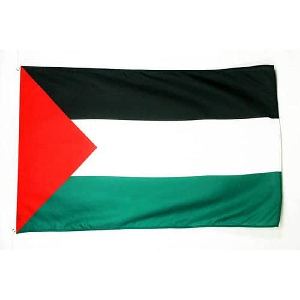 AZ FLAG - Flag of Palestine - 250x150 cm - Large Palestinian flag 100% polyester with brass eyelets - 300g - K_155
