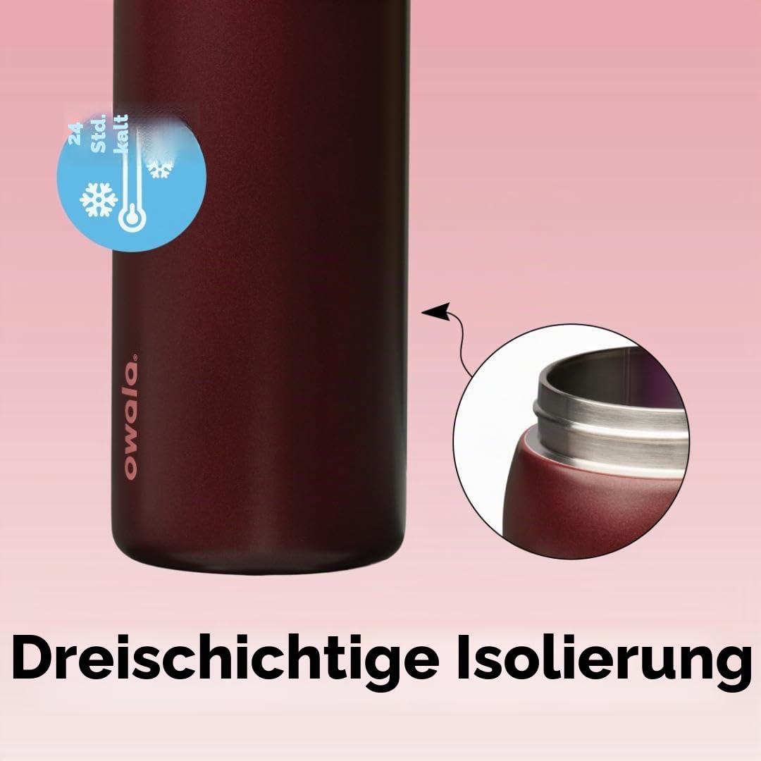 Owala FreeSip Insulated Stainless Steel Drinking Bottle with Straw, 945ml - BPA Free, Ideal for Sports, Fitness, Outdoors and Travel, Black Cherry - C08797
