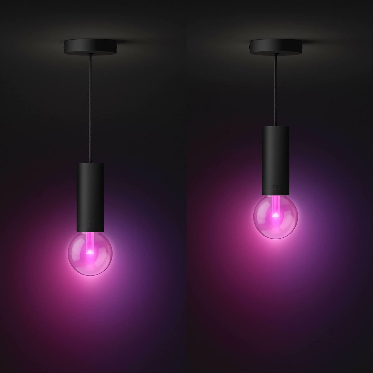 Philips Hue Lightguide Cord with E27 Socket, Black - 929003152101