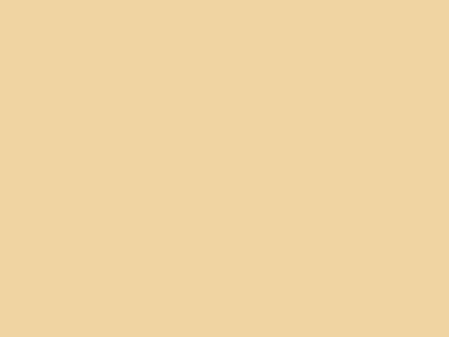 d-c-fix furniture adhesive film natural, 45 cm x 15 m - washable and self-adhesive decorative film for kitchen, cupboard, table and windowsill - modern & sustainable - F2002214