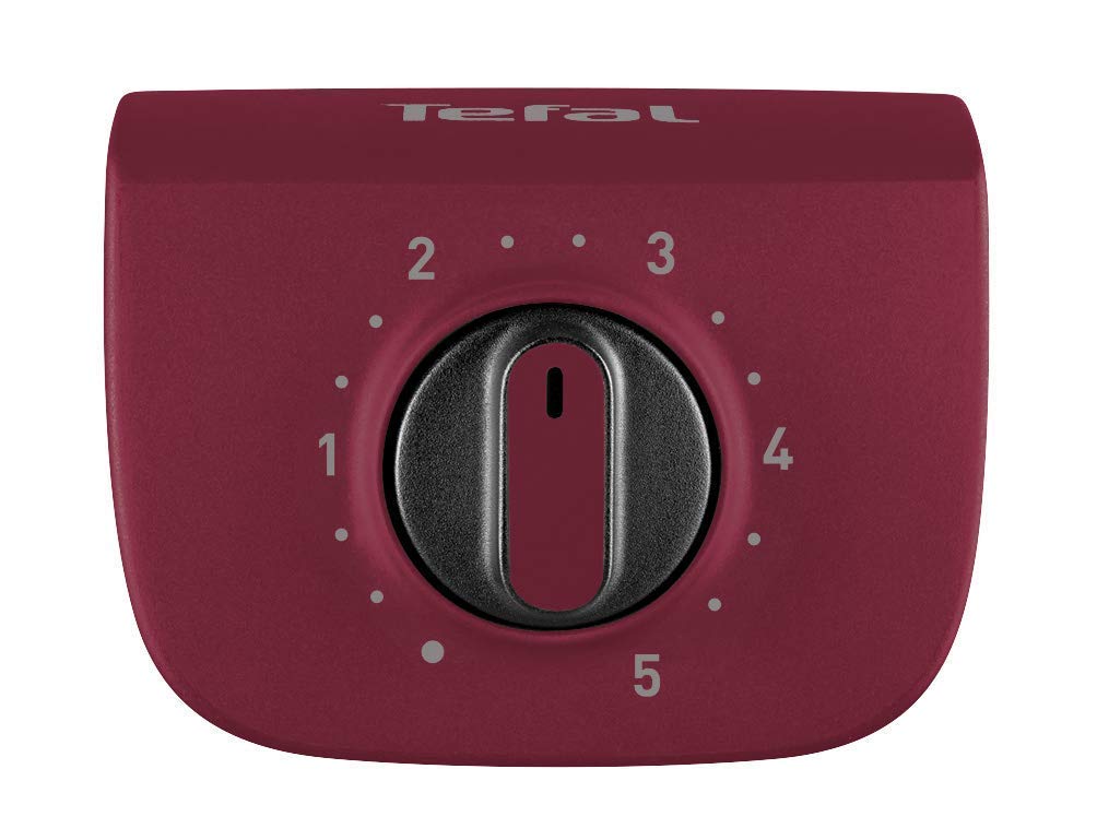 Tefal Easygrill Electric Standing Grill | BG90F5 | With feet for outdoor use | Can also be used as a table grill indoors 2300W | 870cm² grill area | Easy cleaning | black/burgundy red