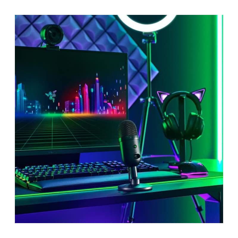 Razer Seiren V2 X Black (RZ19-04050100-R3M1)