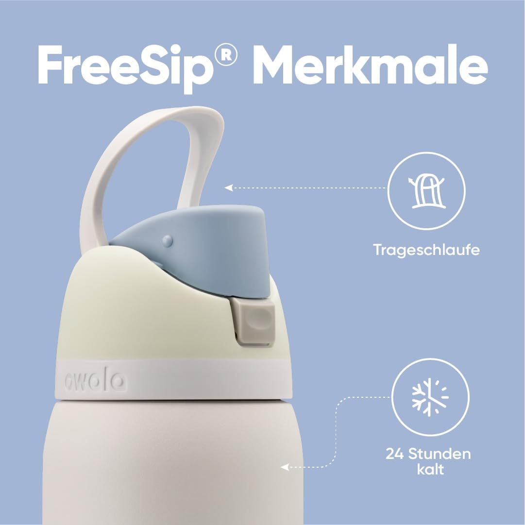 Owala FreeSip Insulated Stainless Steel Drinking Bottle with Straw, 945 ml - BPA Free, Ideal for Sports, Fitness, Outdoors and Travel, Iced Breeze - C06185