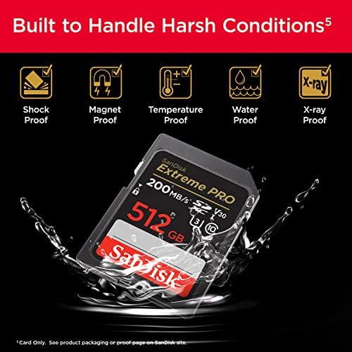 SanDisk Extreme PRO SDXC 1TB (SDSDXXD-1T00-GN4IN)