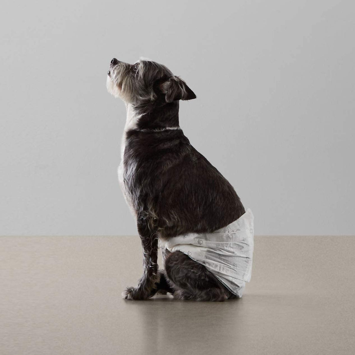 Amazon Basics Disposable Dog Diapers for Male Dogs, Size S, White, 50-Pack