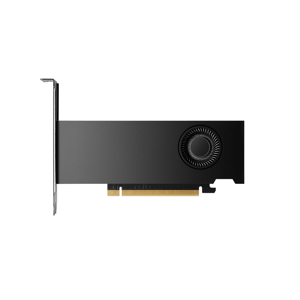 PNY NVIDIA RTX 2000 Ada Professional Graphics Card 16GB GDDR7 - VCNRTX2000ADA-PB