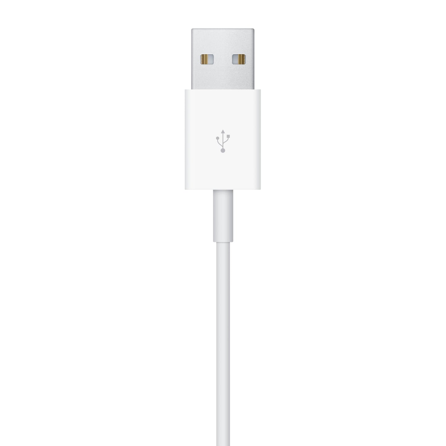 Apple Watch Magnetic Charging Cable (1 m) (2025) - MW6A3ZM/A