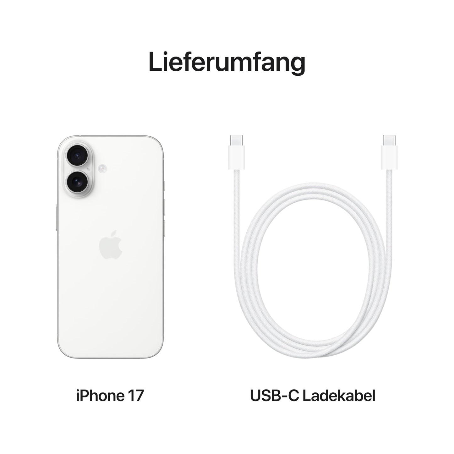 Apple iPhone 17 256GB MG6K4ZD/A