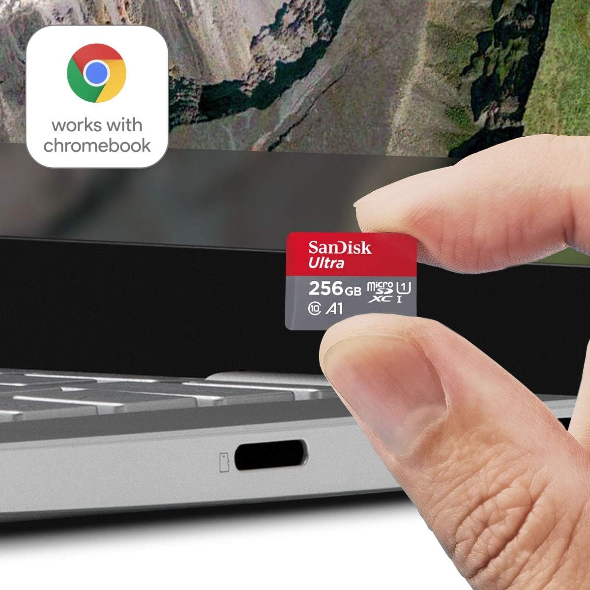 SanDisk Ultra microSDXC 256GB (SDSQUAC-256G-GN6FA)