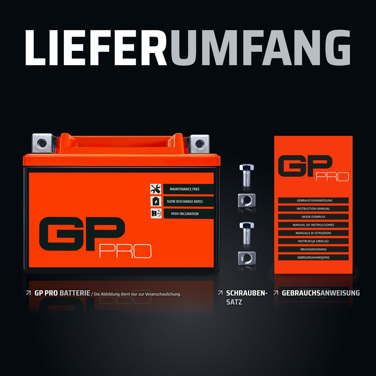 GP-PRO gel battery 12 V 12 Ah maintenance-free compatible with Piaggio X8 125 - GP-006