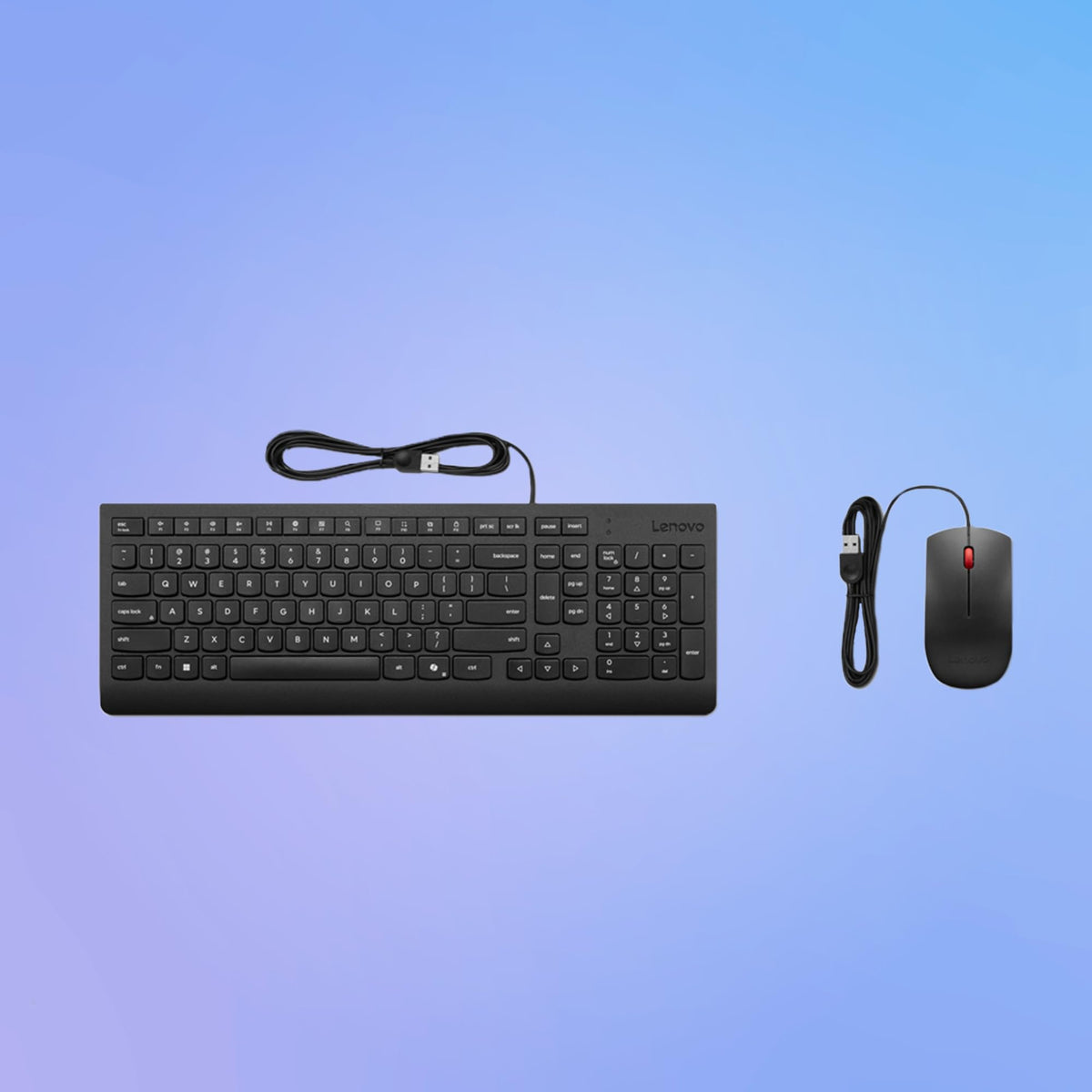 Lenovo Essential Combo Keyboard + Mouse Wired – USB, compact layout with keyboard, ergonomic mouse 1600 DPI, spill-resistant design, Copilot key – Black - 0195892115113