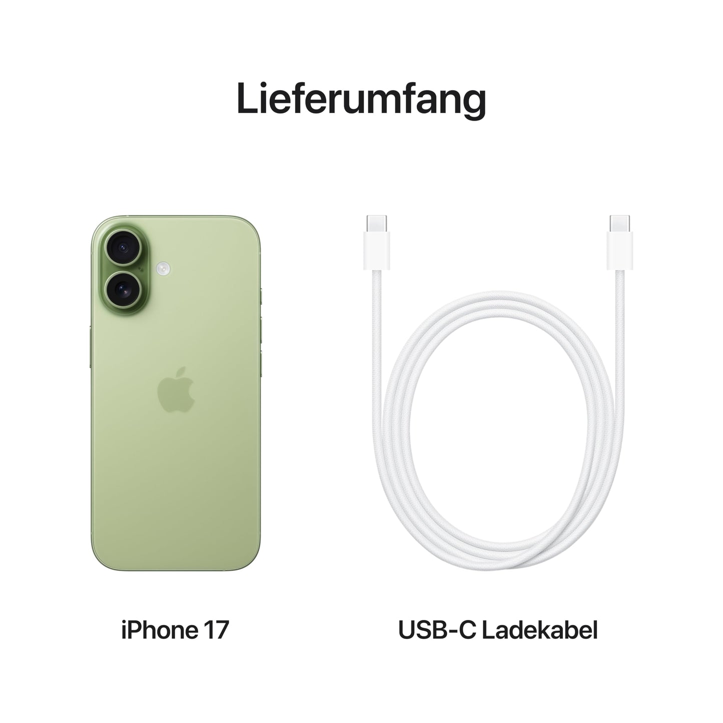 Apple iPhone 17 256GB MG6N4ZD/A