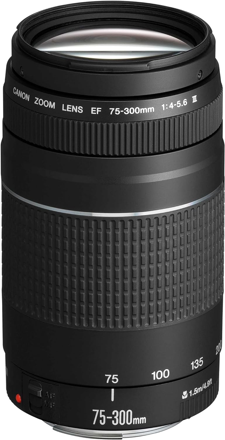 Canon EF 75-300mm F4.0-5.6 III zoom lens (58mm filter thread) black & EF 50mm F1.8 STM lens (58mm filter thread) black - 6473A003[AA]