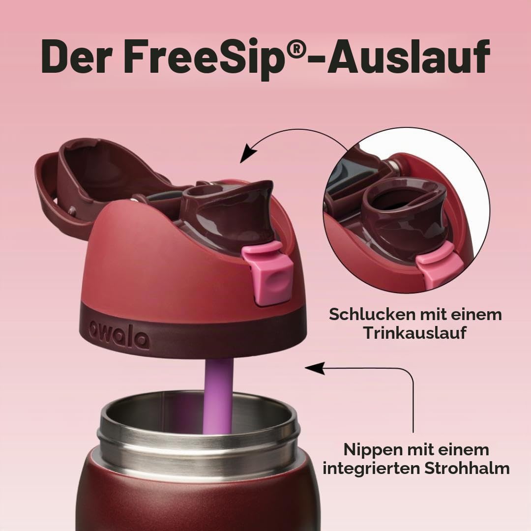 Owala FreeSip Insulated Stainless Steel Drinking Bottle with Straw, 945ml - BPA Free, Ideal for Sports, Fitness, Outdoors and Travel, Black Cherry - C08797