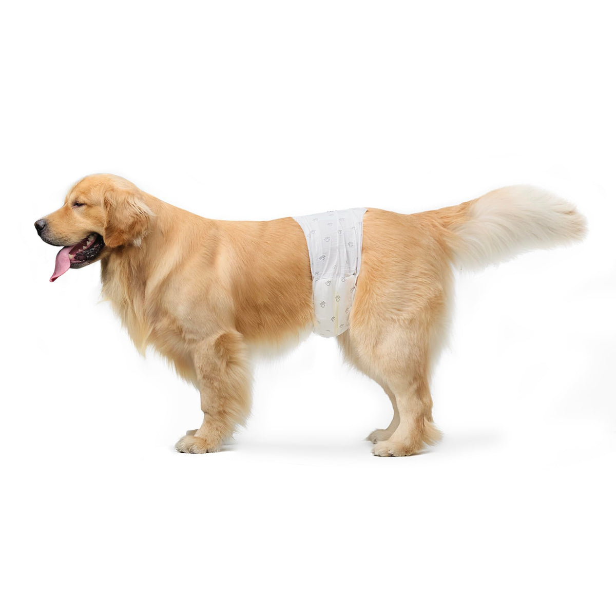 Amazon Basics Dog Diapers for Males, Size L, White, 30-Pack