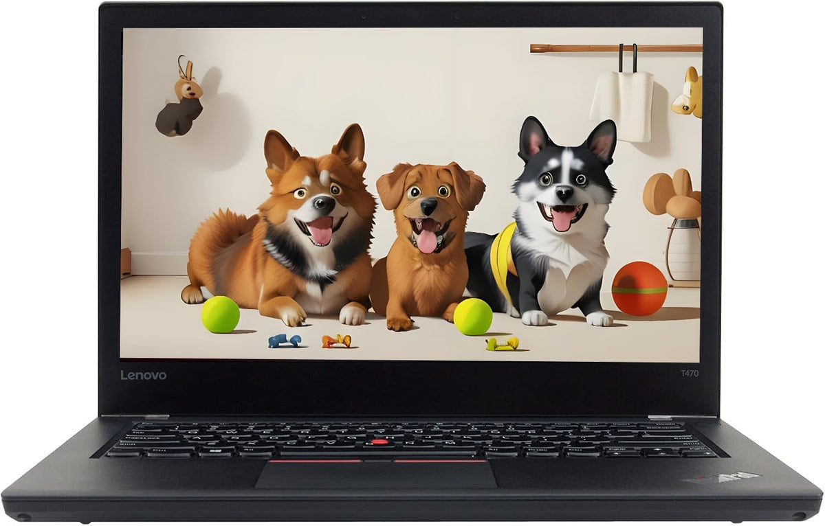 Lenovo ThinkPad T470 Laptop de afaceri, 14 inch (1366x768), Intel Core i5-6300U, 16 GB RAM, 256 GB SSD, tastatură QWERTY, Windows 11 Pro (recondiționat)