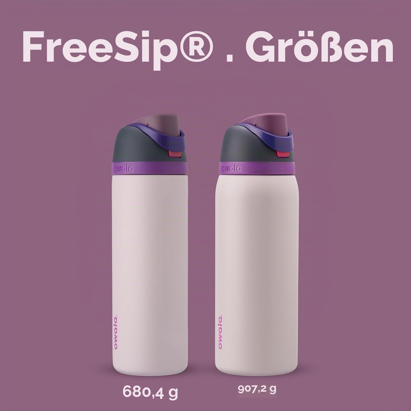 Owala FreeSip Insulated Stainless Steel Drinking Bottle with Straw, 710ml - BPA Free, Ideal for Sports, Fitness, Outdoors and Travel, Dreamy Field - C06156