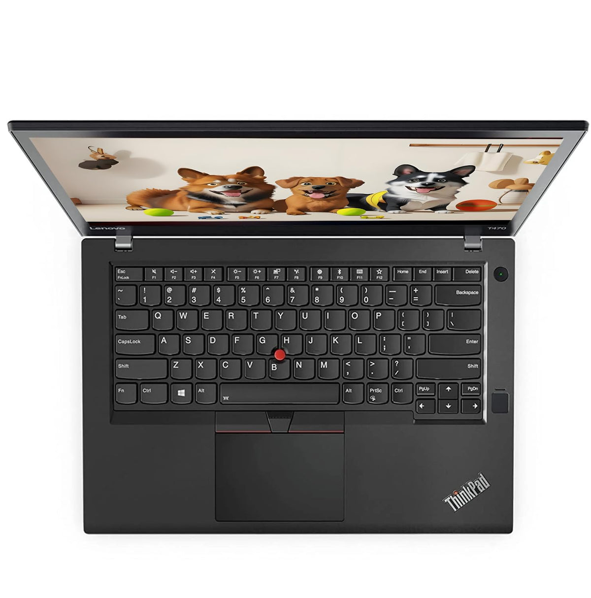 Lenovo ThinkPad T470 Laptop de afaceri, 14 inch (1366x768), Intel Core i5-6300U, 16 GB RAM, 256 GB SSD, tastatură QWERTY, Windows 11 Pro (recondiționat)