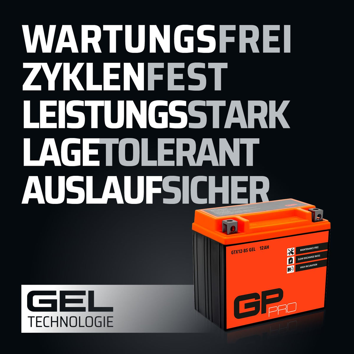 GP-PRO gel battery 12 V 12 Ah maintenance-free compatible with Piaggio X8 125 - GP-006