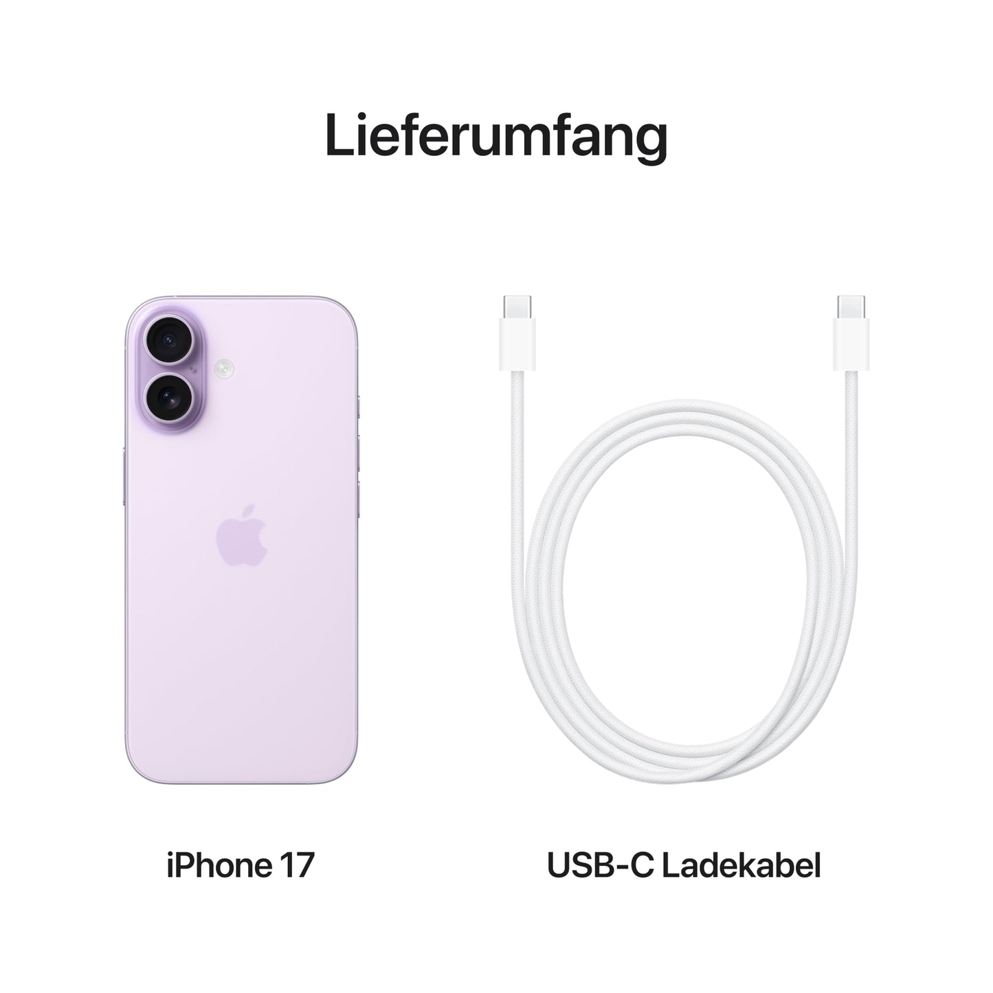 Apple iPhone 17 256GB MG6M4ZD/A