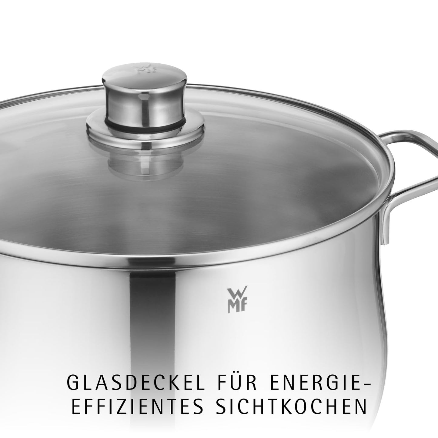 WMF Diadem Plus cooking pot induction 20 cm - 3.7 l large meat pot made of Cromargan stainless steel with glass lid, high edge, dishwasher safe, durable and uncoated for healthy, delicious meals - 0734216040