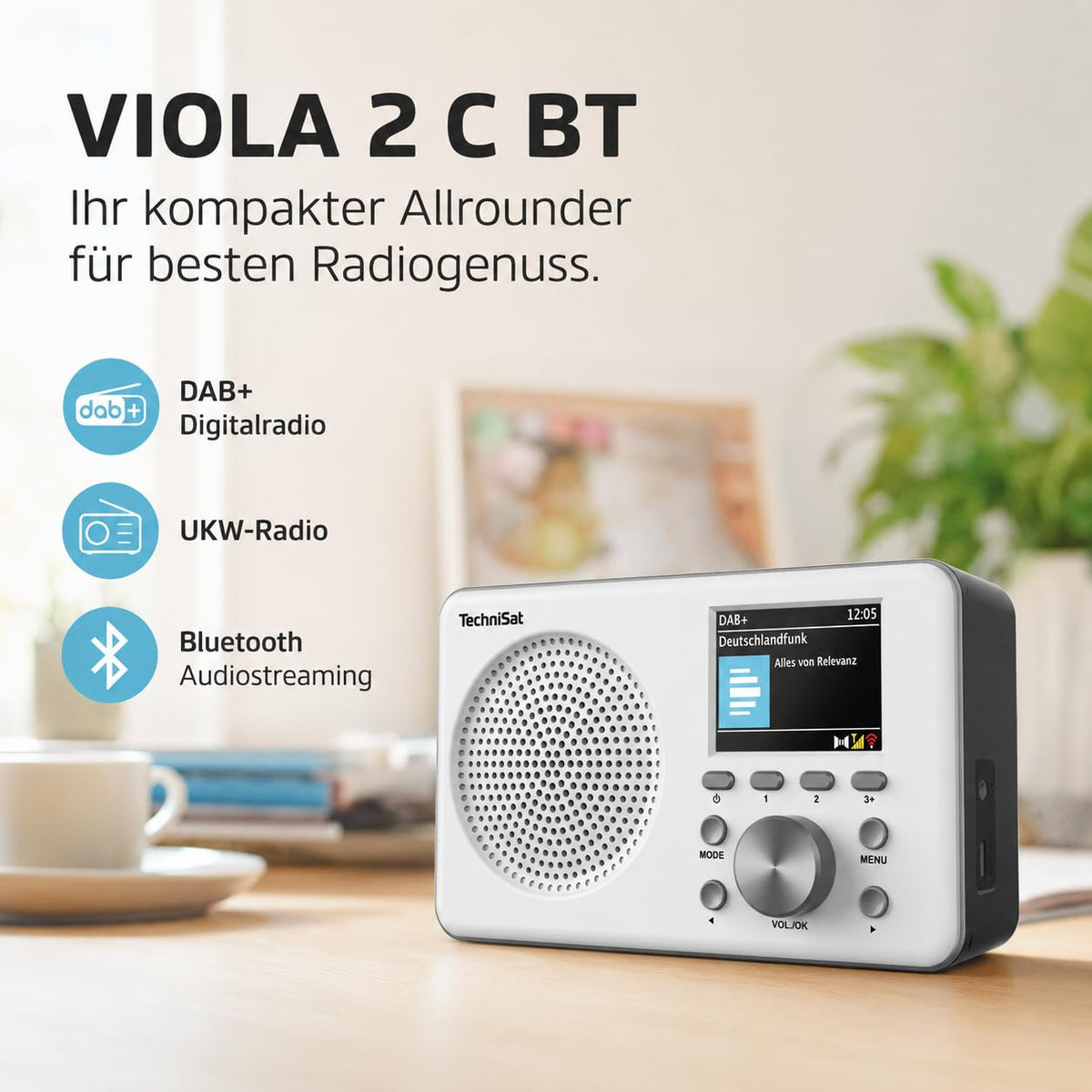 TechniSat Viola 2 C BT - tragbares DAB Radio mit Bluetooth - 0001/2955