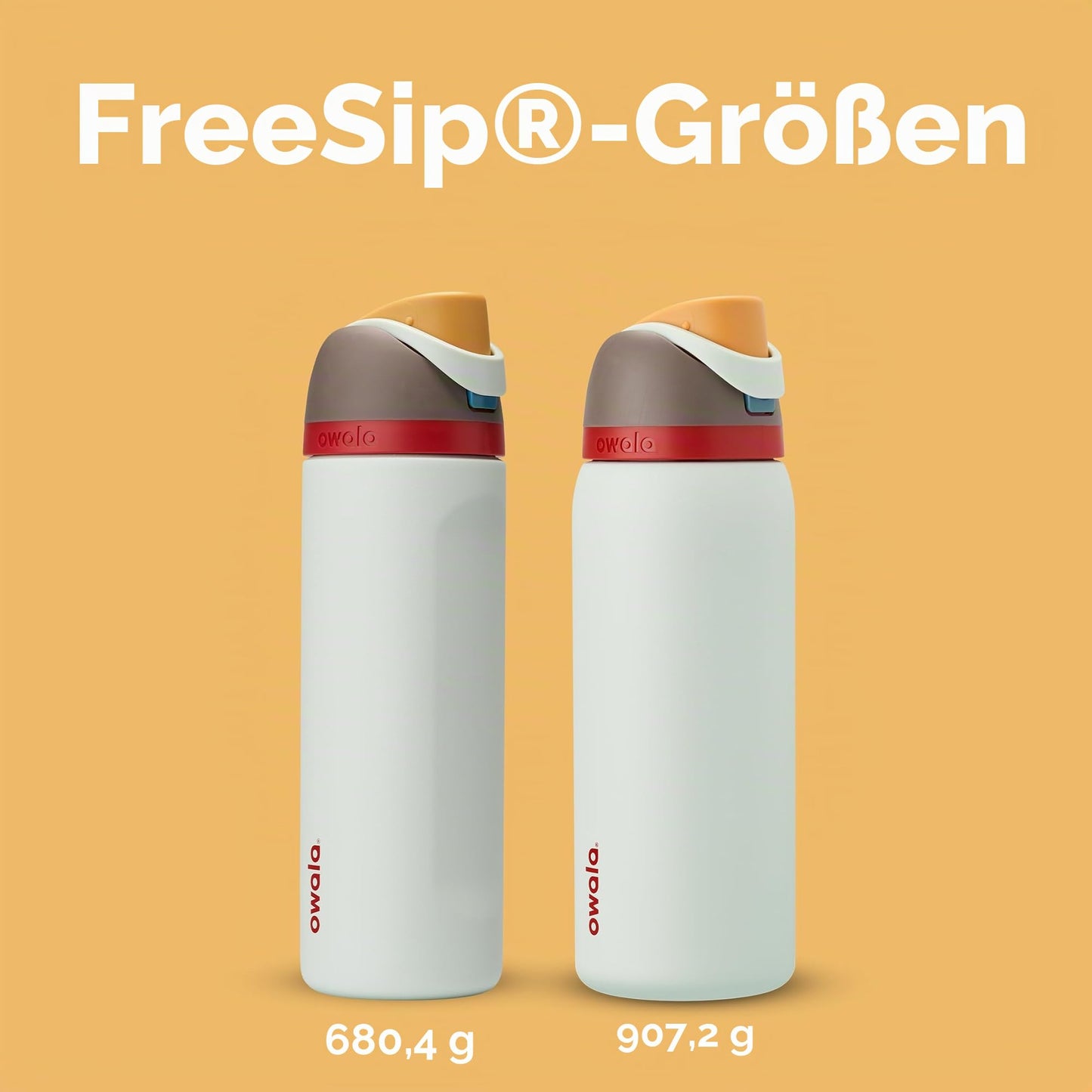 Owala FreeSip Insulated Stainless Steel Drinking Bottle with Straw, 710ml - BPA Free, Ideal for Sports, Fitness, Outdoor and Travel, Boneyard - C05179
