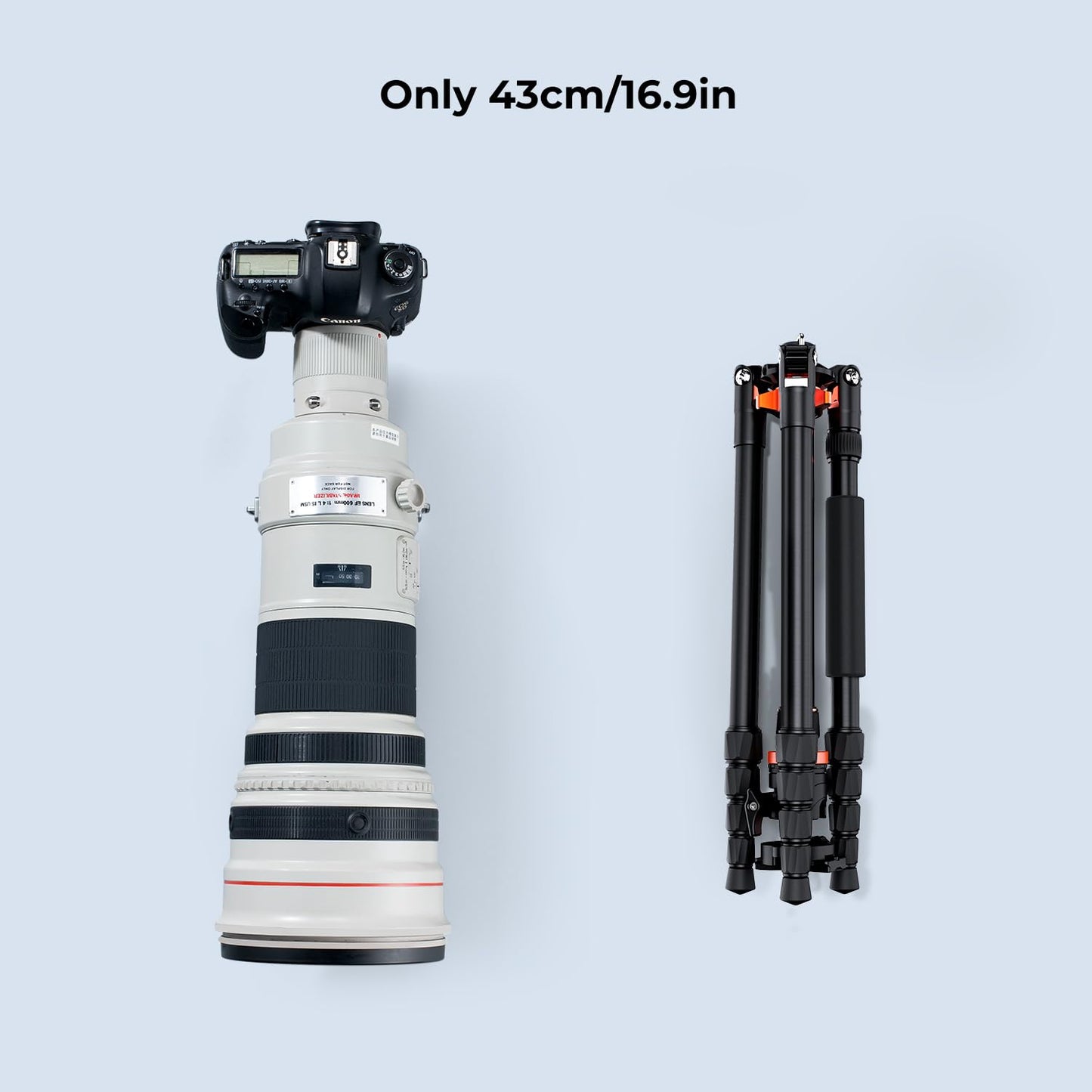 K&F Concept camera tripod, tripod with 360° ball head, portable tripod for Canon Nikon Sony and other DSLR cameras, aluminum photo tripod monopod K255A4+BH-28L - KF09.083V1