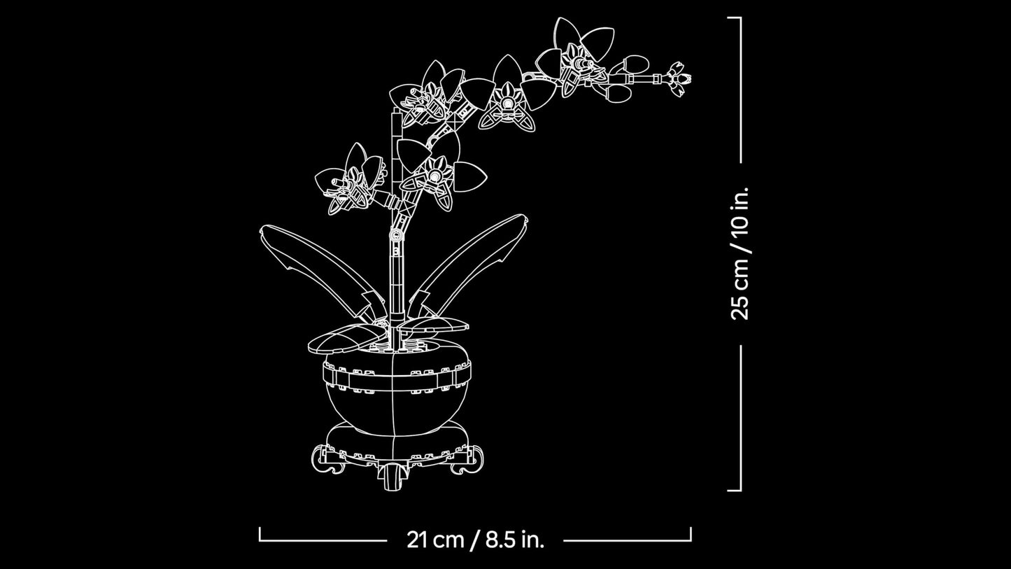LEGO Botanicals Mini Orchid - Artificial Flower Set for Adults - Houseplant with Terracotta Style Flower Pot - DIY Birthday Gift Idea - 10343