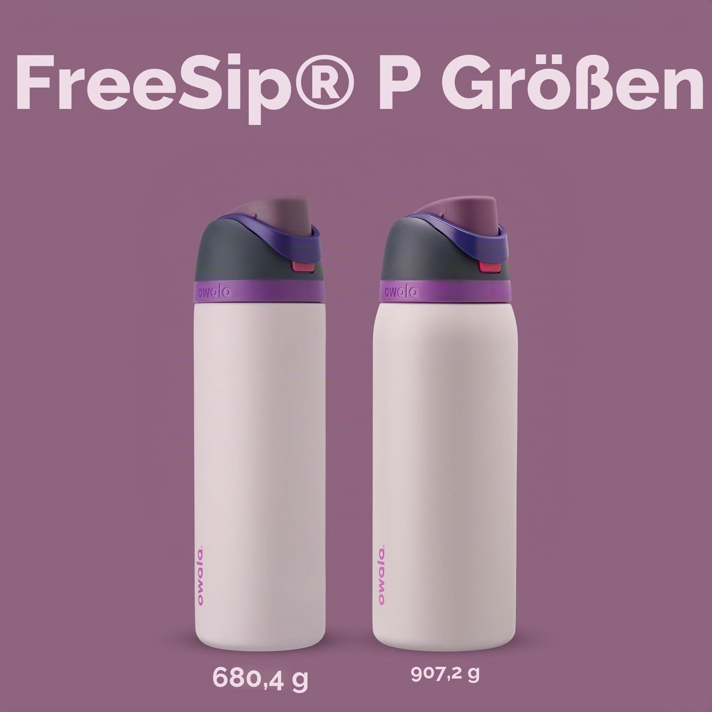 Owala FreeSip Insulated Stainless Steel Drinking Bottle with Straw, 945ml - BPA Free, Ideal for Sports, Fitness, Outdoor and Travel, Dreamy Field - C06170