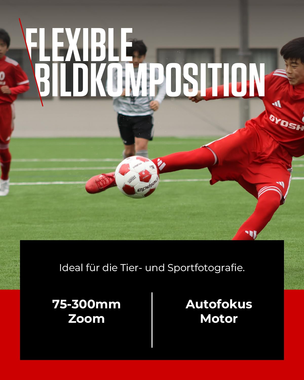 Canon RF 75-300mm F4-5.6 Lens | Lightweight telephoto zoom lens for wildlife & sports photography | With autofocus motor & Super Spectra coating | Compatible with Canon EOS R system cameras