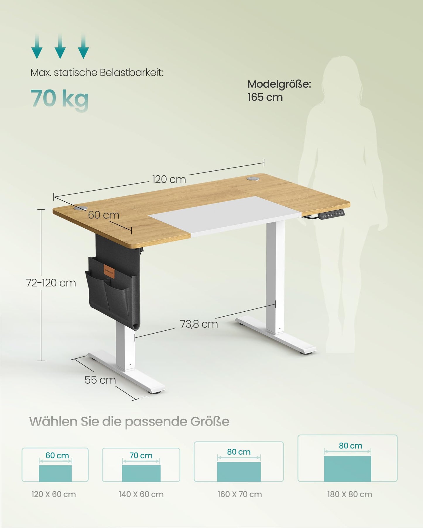 SONGMICS Electric height-adjustable desk, 120 x 60 cm, infinitely adjustable, memory function with 4 heights, natural oak color-matt white LSD015N01
