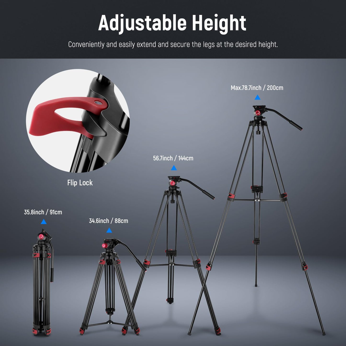 NEEWER 200cm video tripod, robust camera tripod made of aluminum alloy with 360° fluid head, quick release plate compatible with Canon Nikon Sony and other DSLR camera camcorders, 8kg load capacity - TP-M200