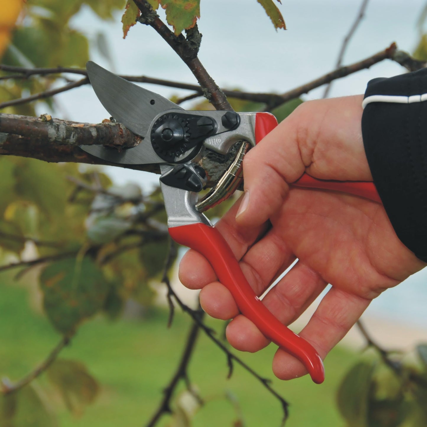 FELCO 8 right-handed bypass pruner, ergonomic for large hands, 52mm steel blade, 25mm cutting diameter, shock absorber, forged aluminum handles, angled cutting head, Swiss Made - 100052387
