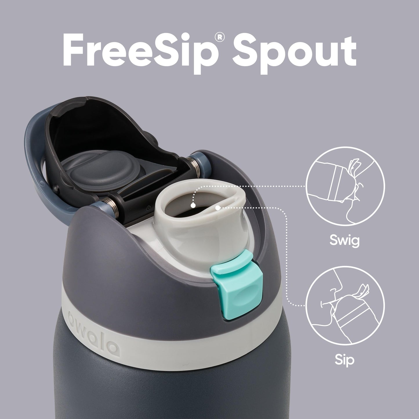Owala FreeSip Insulated Stainless Steel Drinking Bottle with Straw, 945ml - BPA Free, Ideal for Sports, Fitness, Outdoors and Travel, Foggy Tide - C06171