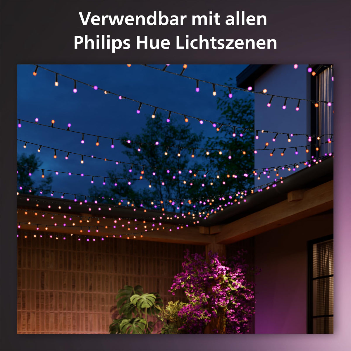 Philips Hue Festavia Lichterkette, 500 Mini LEDs, 40 m - 929003674602