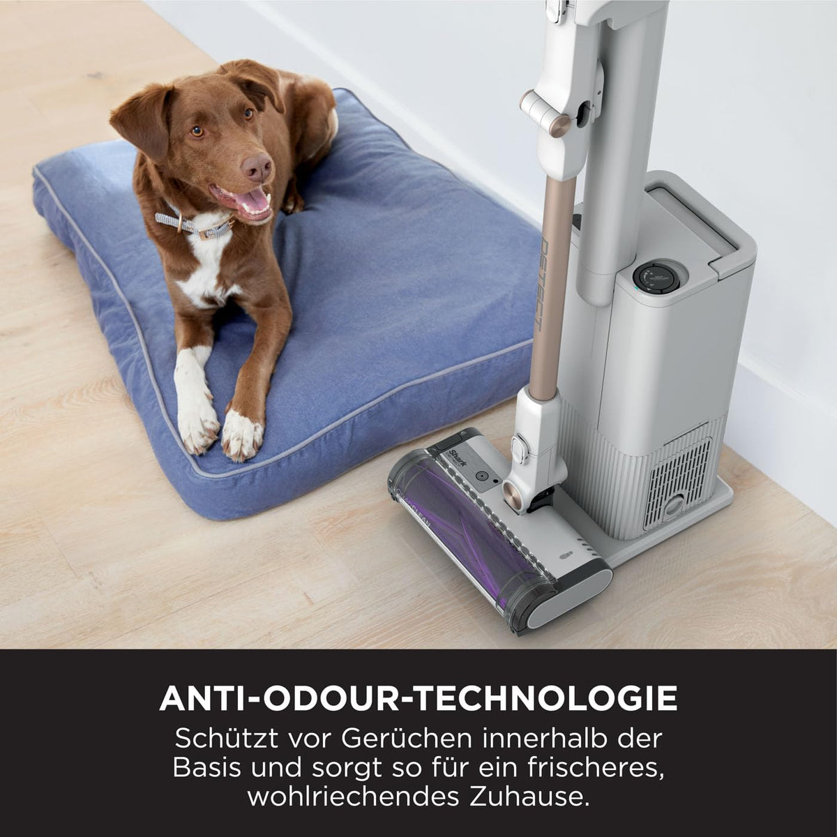 Shark Detect Clean & Empty Cordless Vacuum Cleaner, DirtDetect, White IW3612EUT