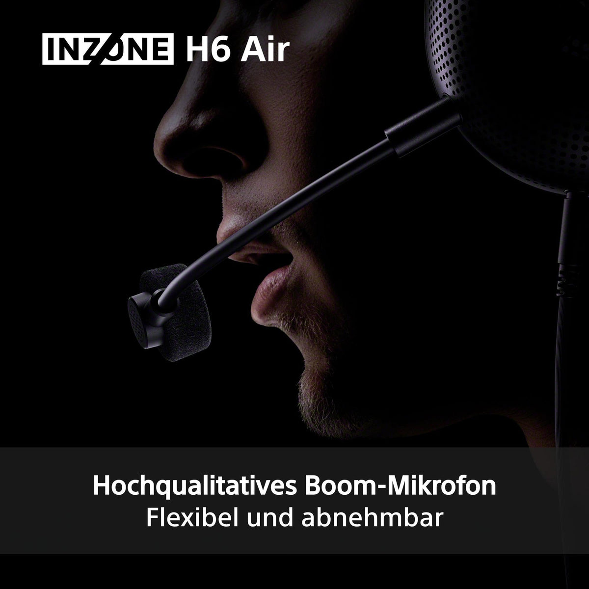 Sony INZONE H6 Wired Open-Back Gaming Headset - MDRG600B.CE7