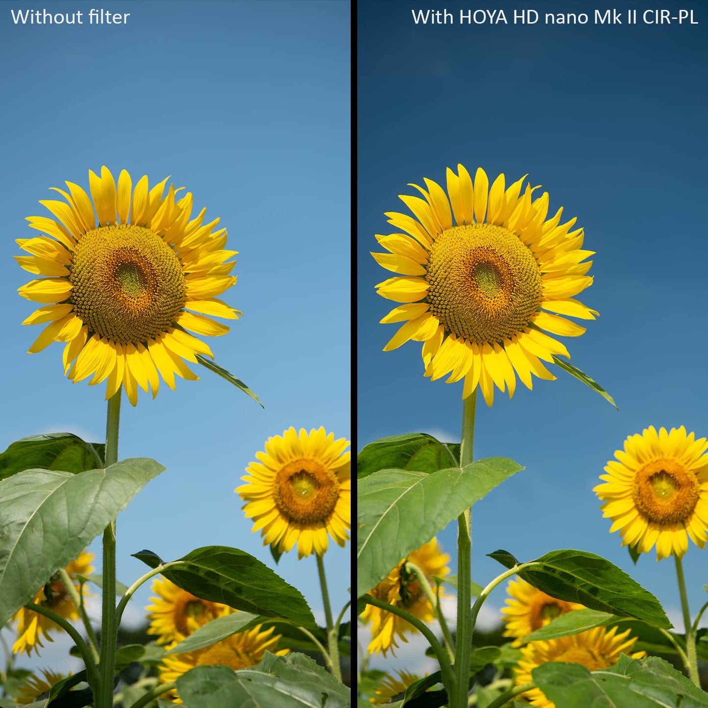 Filter Hoya HD Nano MkII CIR-PL 49mm - YYP4149