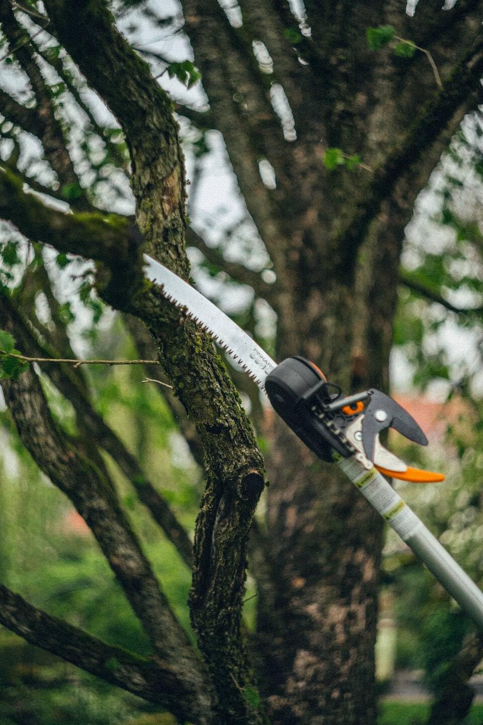 Fiskars tree saw for bypass cutting giraffe UPX82 and UPX86, hardened steel, length: 46 cm, black/silver, 1023633