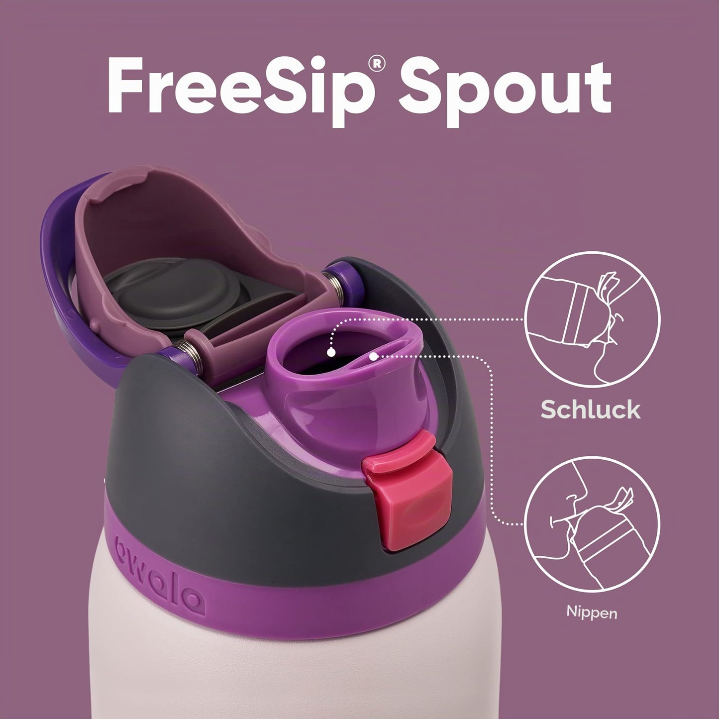 Owala FreeSip Insulated Stainless Steel Drinking Bottle with Straw, 945ml - BPA Free, Ideal for Sports, Fitness, Outdoor and Travel, Dreamy Field - C06170