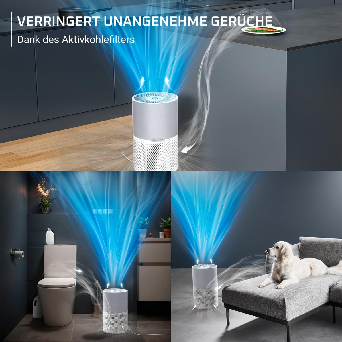 Rowenta Pure Air Compact Air Purifier, high-efficiency air purification - PU2220F0