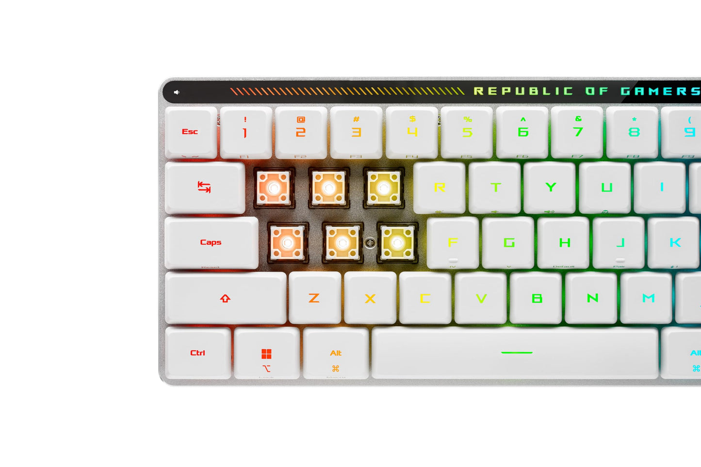 ASUS ROG Falchion RX Low Profile 65% Wireless Gaming Keyboard (QWERTY Layout, ROG RX Low Profile Optical Switches, Bluetooth, 2.4GHz RF Wireless, Wired USB, MacOS Compatible, White) - 90MP03EC-BKDA10