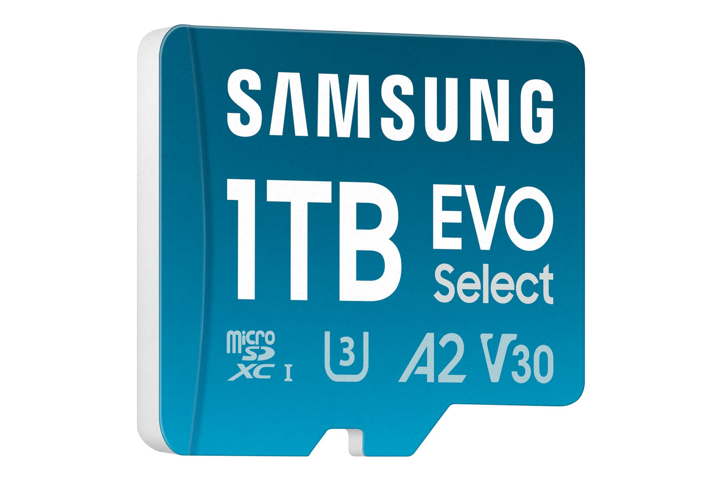 Samsung EVO Select microSDXC 1TB (MB-ME1T0SA/EU)