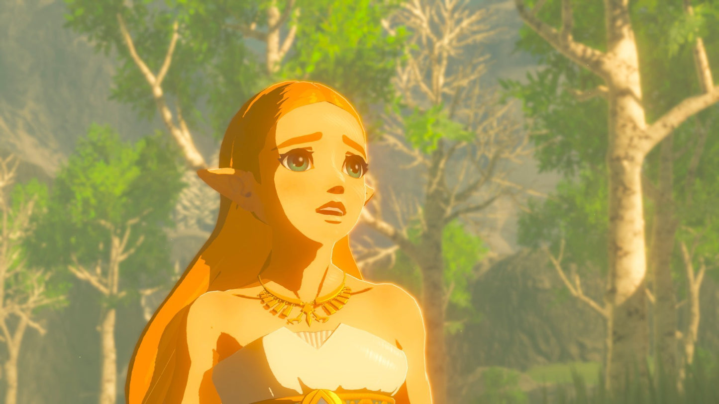 The Legend of Zelda: Breath of the Wild Switch (2560066)